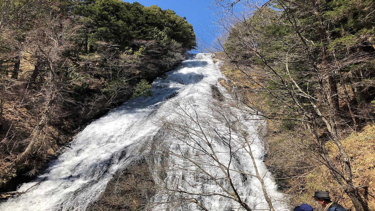 传统日式旅馆 日航森亥姆物语酒店 日光